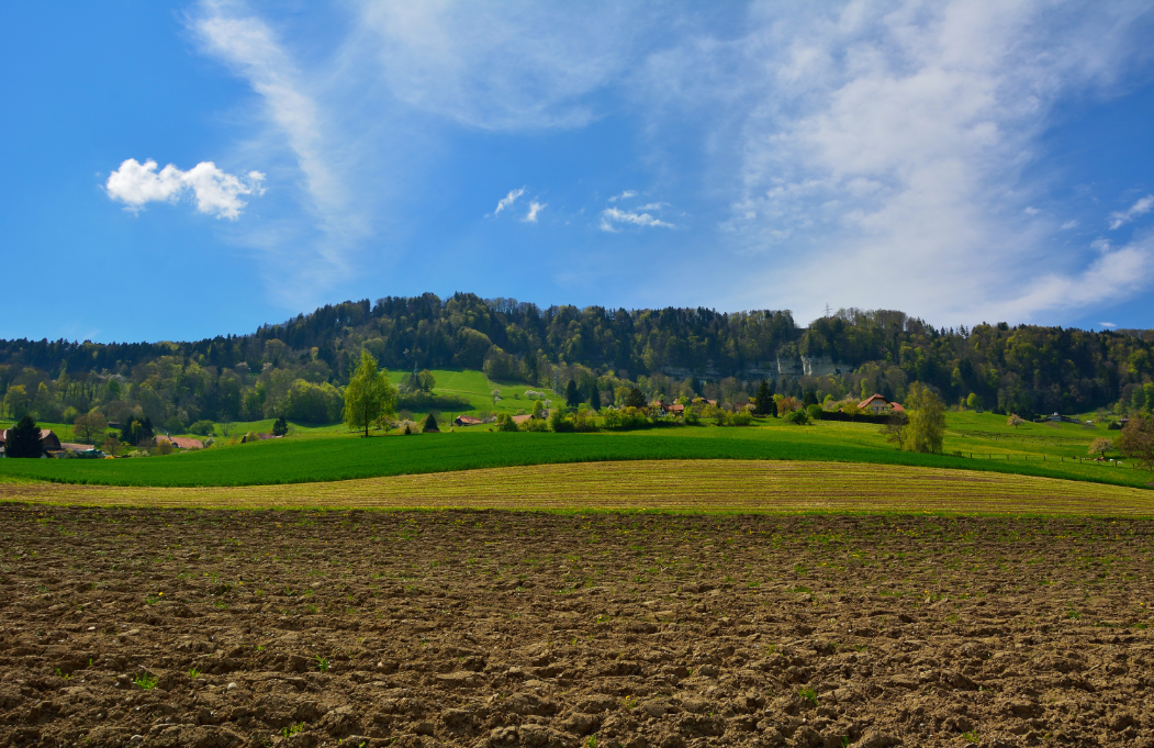 場地調查與監測
